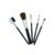 5-in-1 Makeup Brush Kit